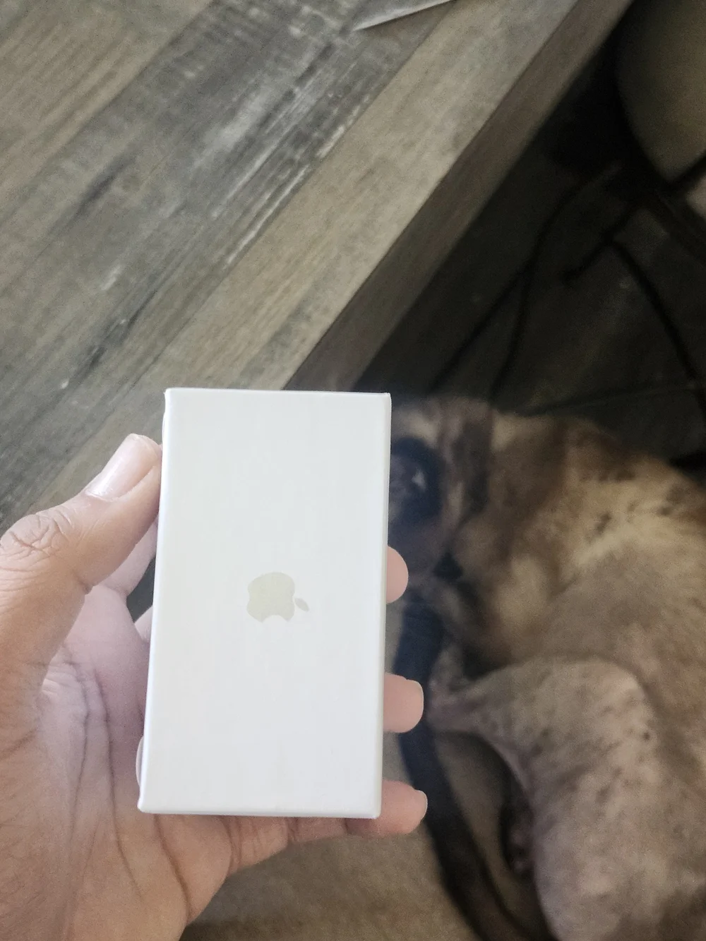 Apple genuine wireless
